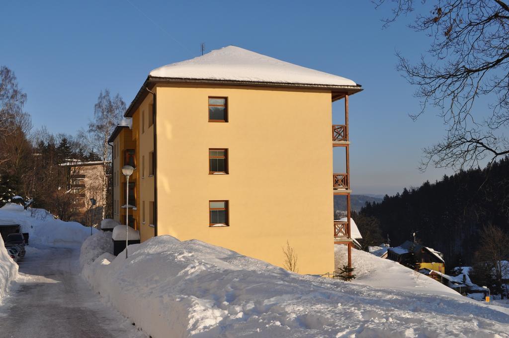Apartman Kamila Janské Lázně Værelse billede